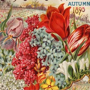 Meet your Posher, Emmalyne